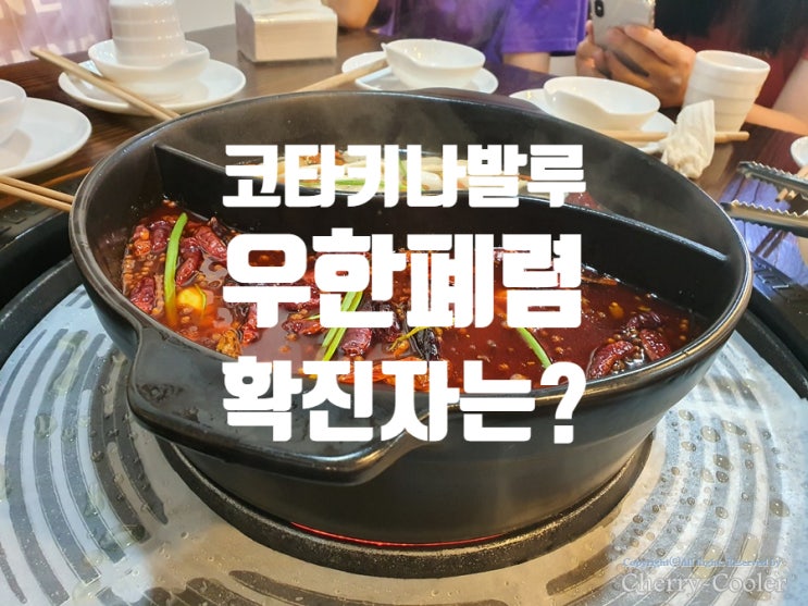  코타키나발루 우한폐렴 코로나 바이러스 상황은? 확진자 수?