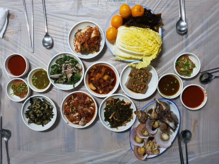  [통영] 하나하나 다 맛있는 물보라다찌