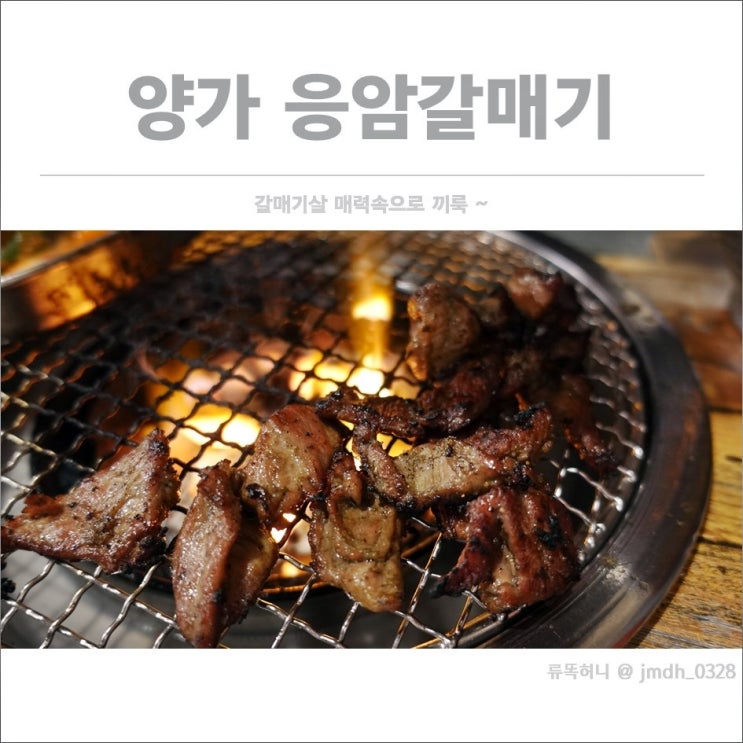  [응암동맛집] 양가응암갈매기 / 갈매기살 매력속으로 끼룩 :)