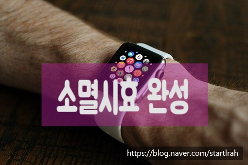  소멸시효 완성의 효과 : 절대적 소멸설 vs 상대적 소멸설 ⇒ 소멸시효원용권자