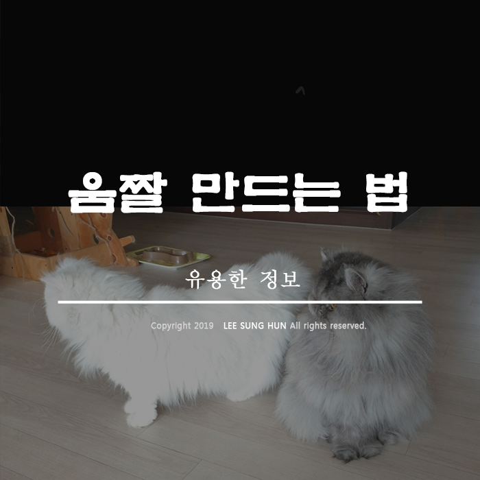  갤럭시 동영상으로 GIF 움짤 만드는 법