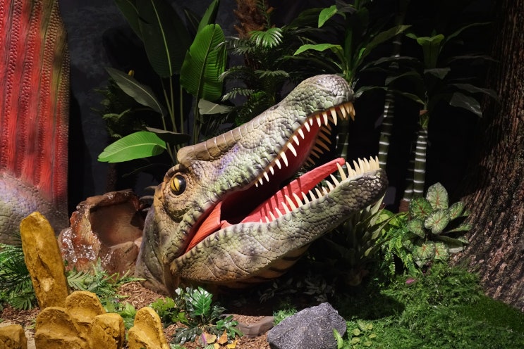 아이와실내가볼만한곳 :: 백악기 공룡의 전설 탐험전