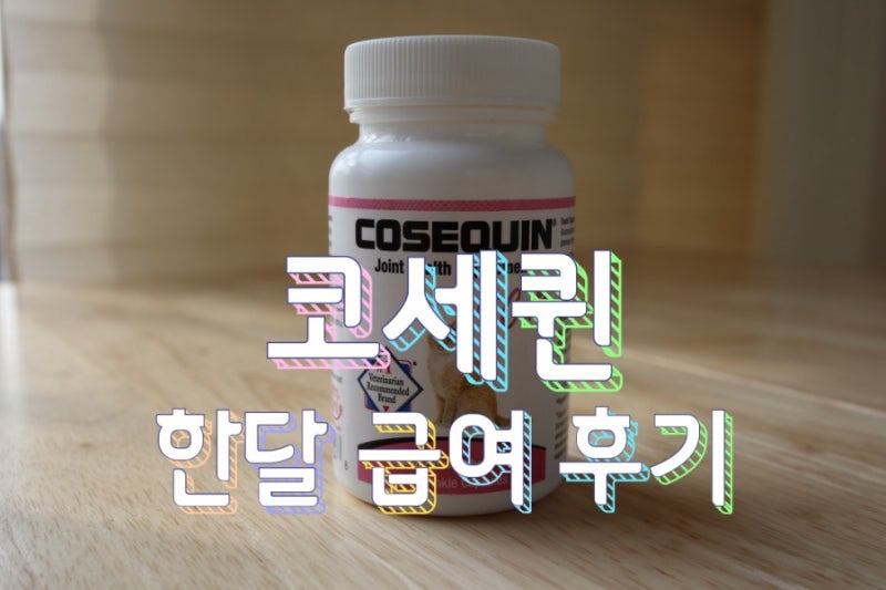 코세퀸 고양이 관절영양제 한달급여후기 / 고양이 알약 먹이는 방법
