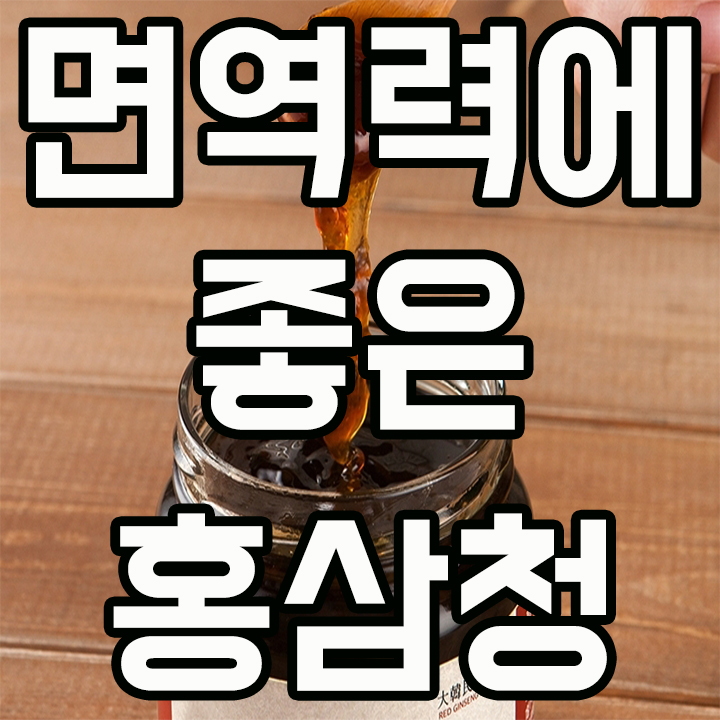 면역력에 좋은 음식으로는 홍삼청이 최고인듯