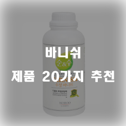 2020년 바니쉬 상품 모음 20가지 순위 입니다