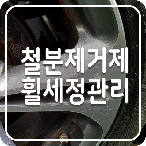  철분제거제추천, 휠세차용품 퍼펙트 아이언리무버 블랙팟 느낌있다.