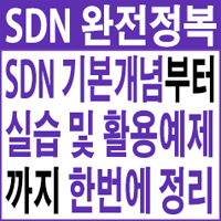 SDN 완전정복 - 개념부터 실습 및 활용예제까지 한번에 정리하기