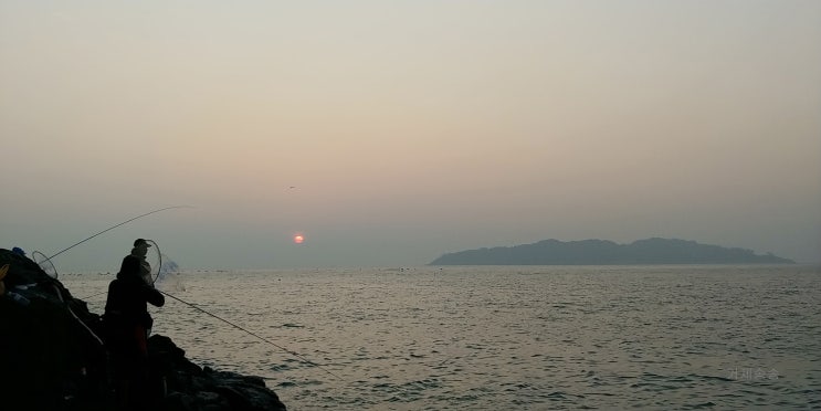  거제도 옥림 근처 학꽁치 낚시