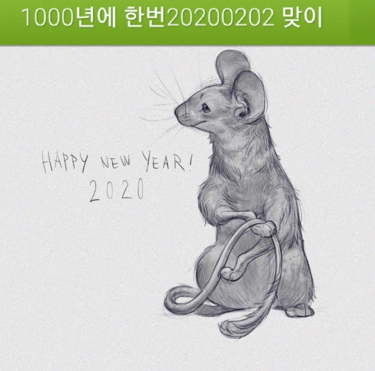  1000년에 한번 맞이하는날(20200202)