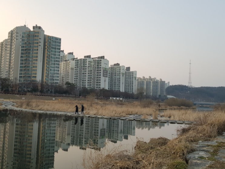  대전 마라톤대회 연습
