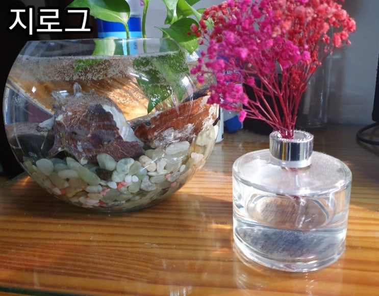  [지로그] 꽃을 시들지 않고 오래 보관하는 방법