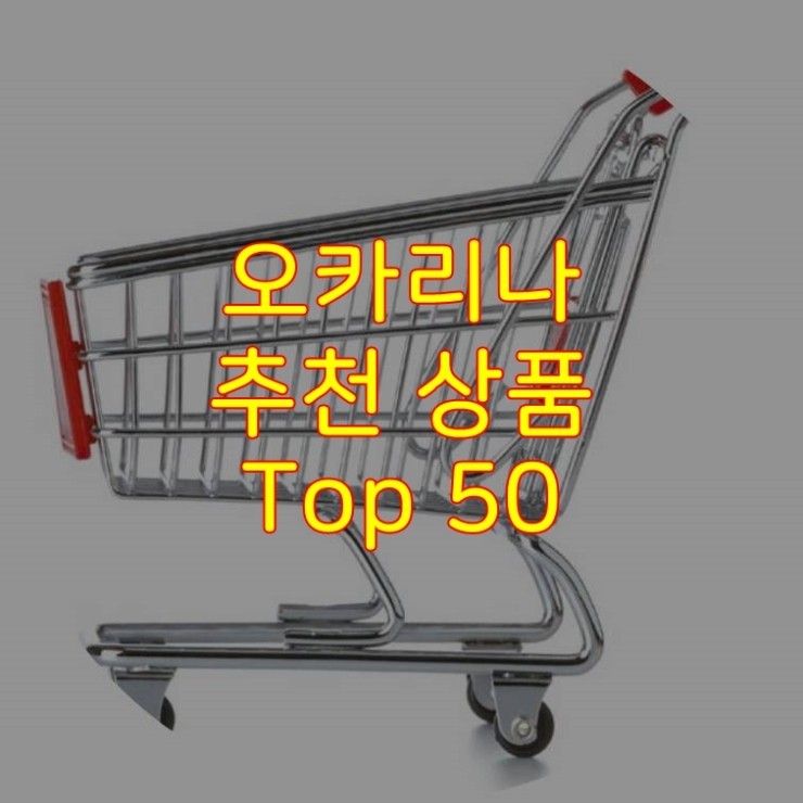  가성비 좋은 오카리나 추천 상품 Best 50