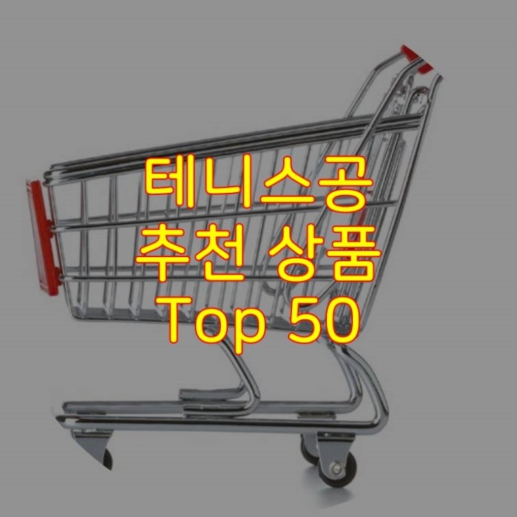 가성비 좋은 테니스공 추천 상품 Best 50