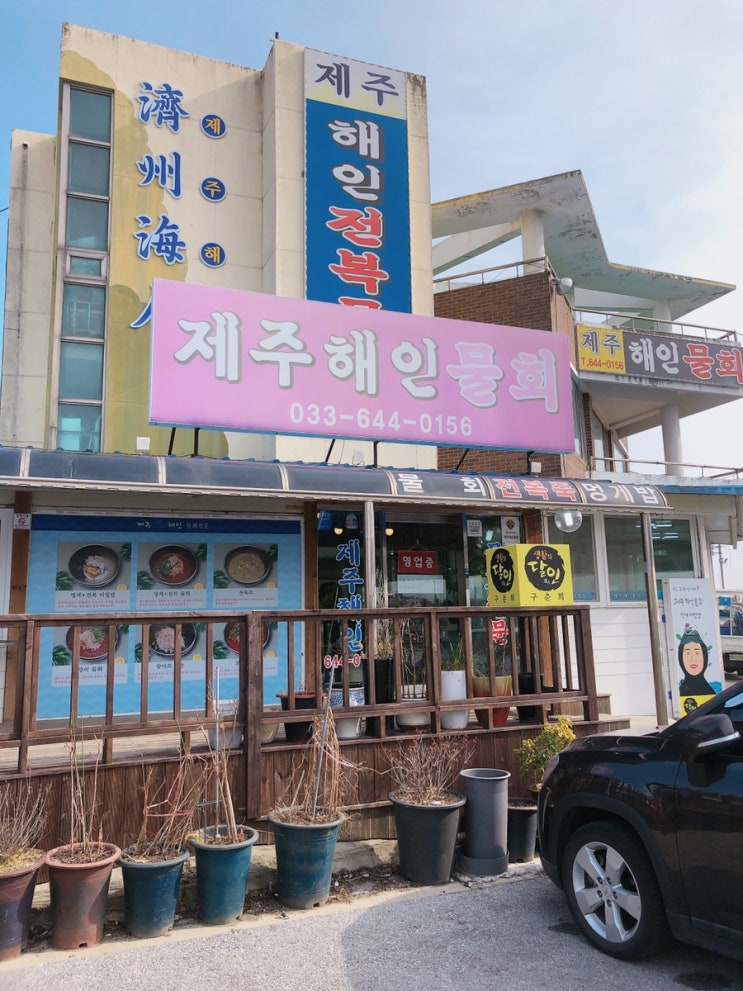  강릉 제주해인물회 멍게비빔밥 제 입맛엔:)