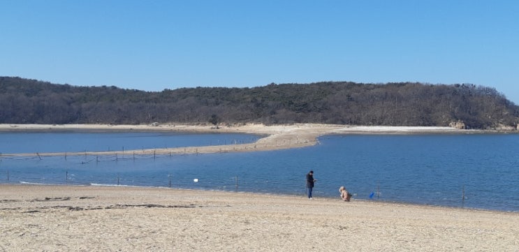  인천 실미도해수욕장,겨울바다에 서다.