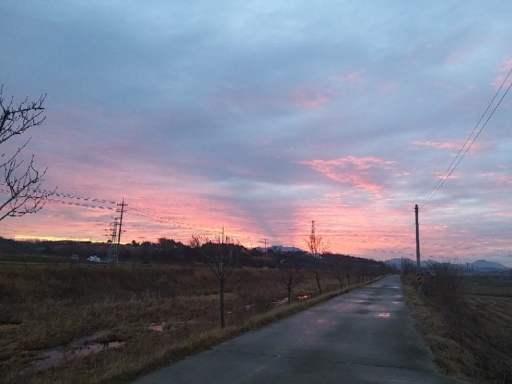 오랜만의 귀농일기