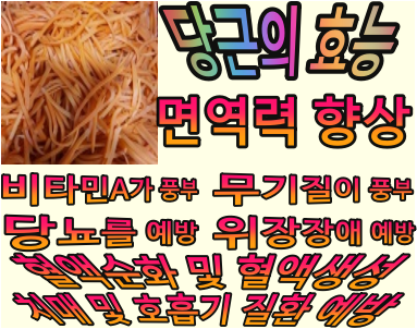  내 몸을 위한 도당동에 맛집 당근김밥