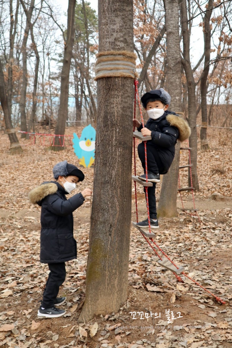 유아숲놀이터 추천! 별똥별 유아숲체험원으로 출발