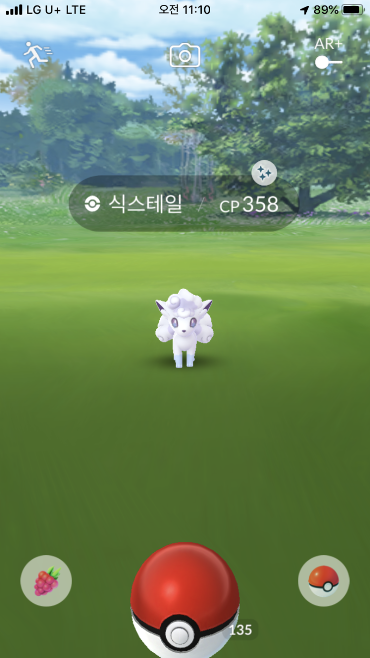  식스테일 알로라 이로치
