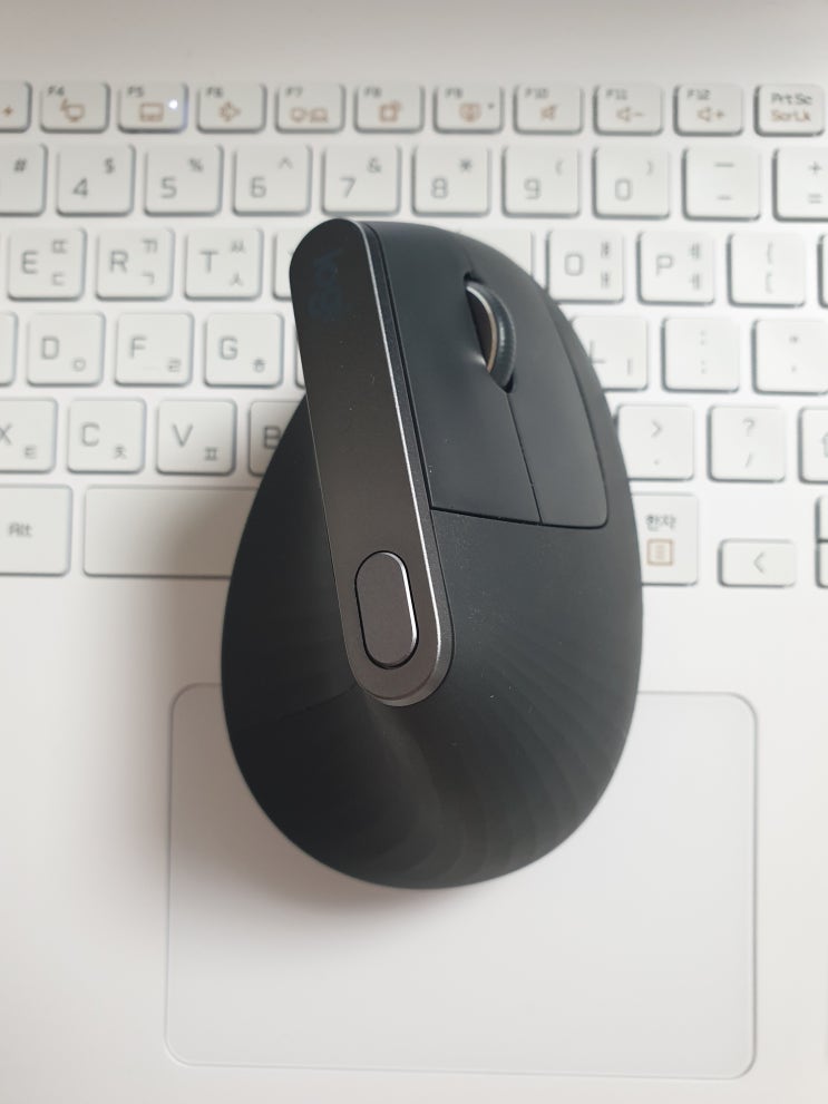  로지텍 버티컬마우스 사용기 ( MX Vertical )