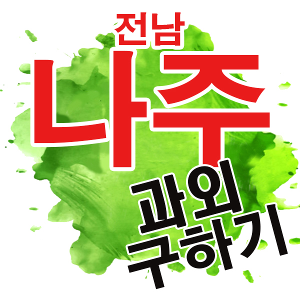  전남 나주 국어과외 빛가람동 남평읍 고등학생 전문 방문 개인 영어 수학과외 준비는?