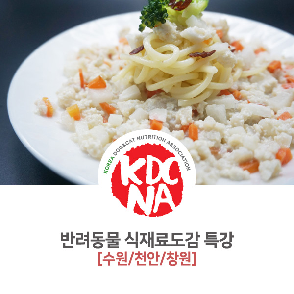  [한국반려동물영양협회] 반려동물 식재료도감 천안/수원/창원 특강 교육 실시