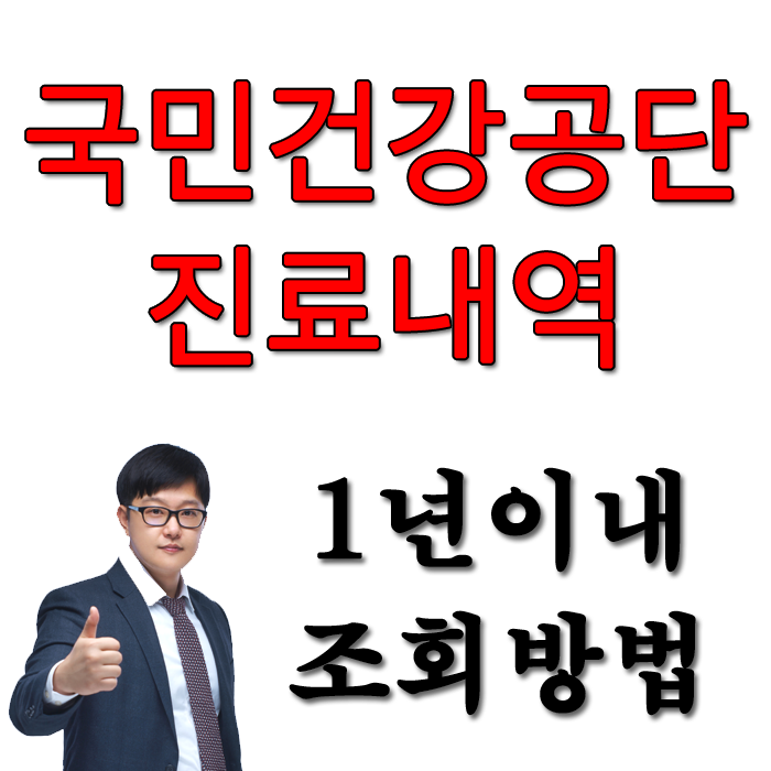  국민건강보험공단 1년이내 치료 및 진료내용 조회방법