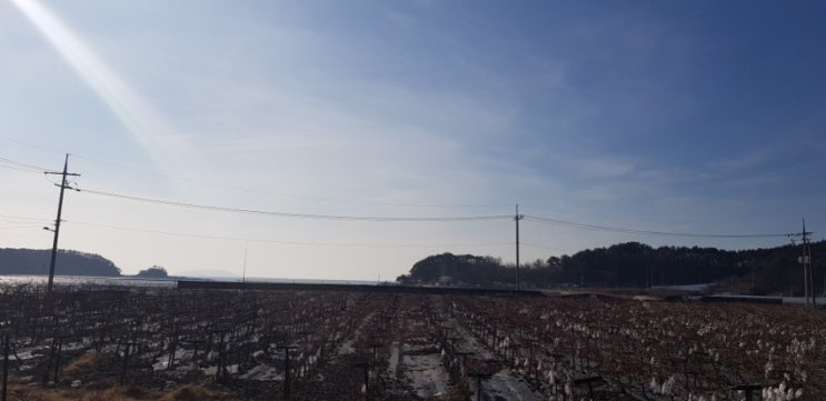  유대인의 창의력을 이루는 5가지 방법