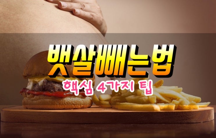  배살 빼는 법 내장지방 제거 방법 핵심 4가지 팁