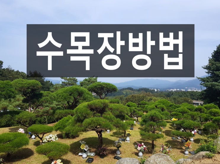  수목장방법은 어떻게 모시는 건가요?