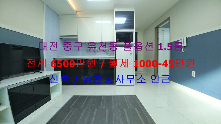  대전 중구 유천동 동사무소 인근에 있는 신축 풀옵션 1.5룸 (투룸식 원룸) !! 저렴한 전세 , 월세 모두 가능한 매물입니다 ^^