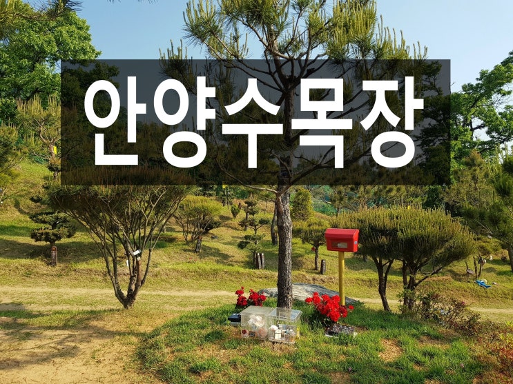  안양수목장은 어디로 가야 좋을까요?