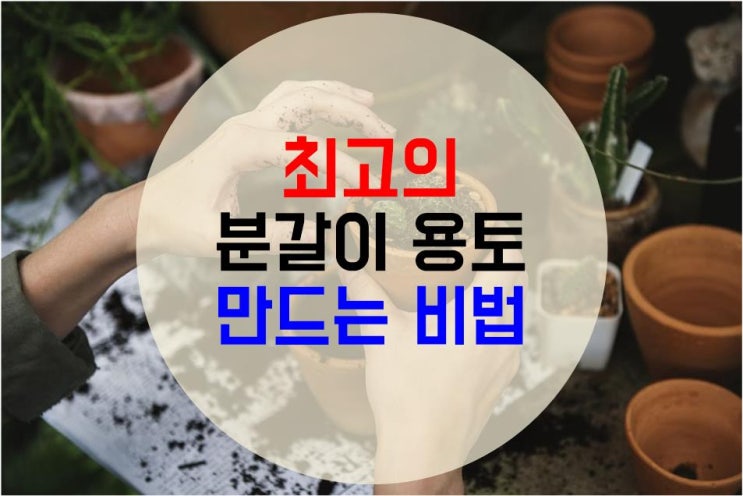  최고의 원예용 용토를 알아봅시다. 1편