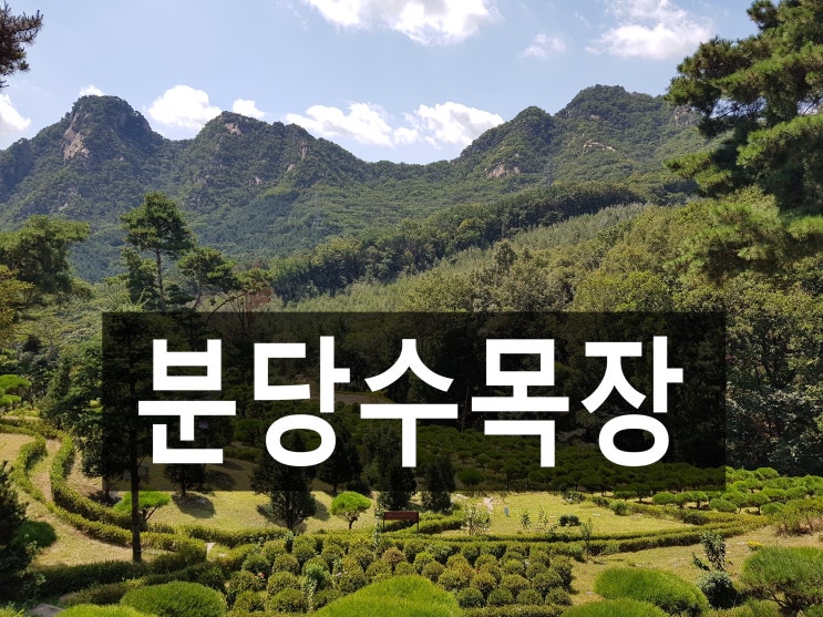  분당수목장 찾고 계신가요?