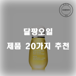  괜찮은 달팡오일 상품 모음 추천 리스트 입니다