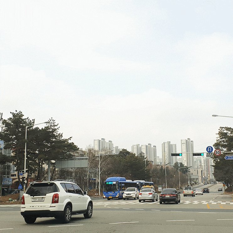 서울도로연수 장롱면허 걱정되서 저렴하게 알아봤어요.