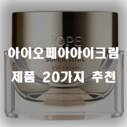  [베스트 순위] 아이오페아아이크림 물품군 20종류 리스트!
