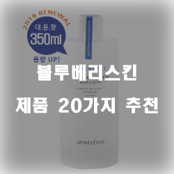  다양한 블루베리스킨 제품 20가지 리스트