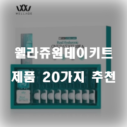 합리적인 선택의 웰라쥬원데이키트 상품 20가지 확인 해보세요