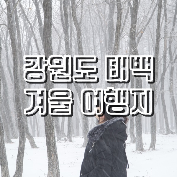  눈내리는날 달려가본 강원도 태백 여행(태백산눈축제와 만항재)