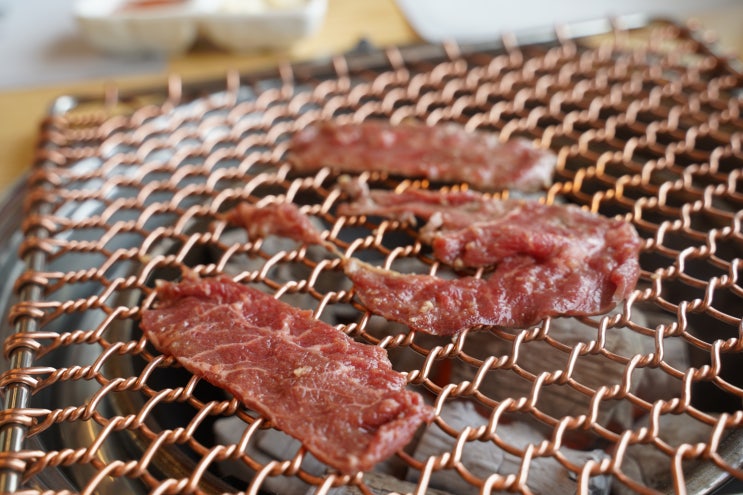  대전 동구 맛집 산내 이동민 광양불고기 장난없다