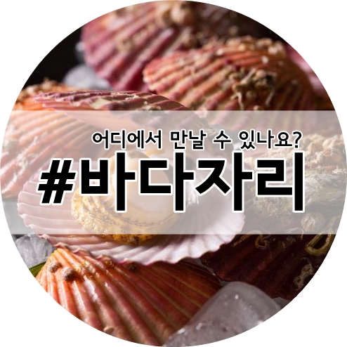  바다자리의 싱싱한 수산물, 어디에서 만날 수 있나요?
