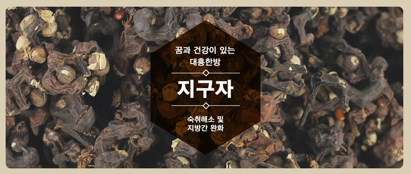 혹의 효능 부작용 지구자차(호케열매) 만드는 법