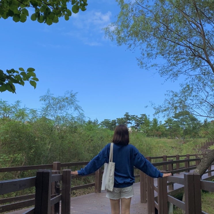  동해 가원습지 생태자연공원