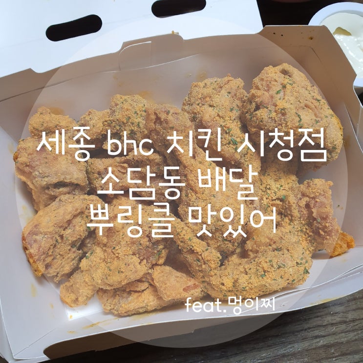  세종 bhc 시청점 뿌링클 소담동 치킨 배달 추천