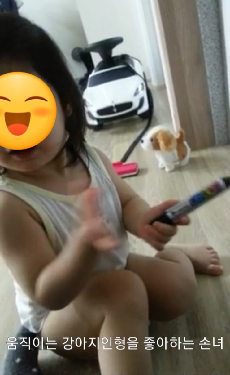  [추천]6개월아기장난감&움직이는 강아지인형