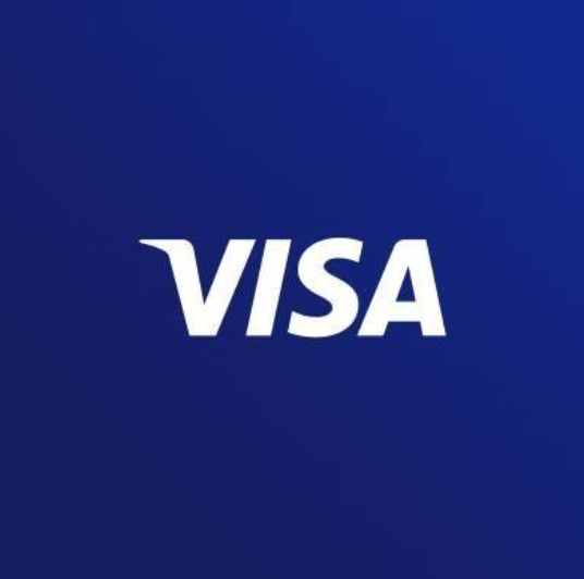 엄친아. VISA.  다가진녀석, 심지어 멋있어...