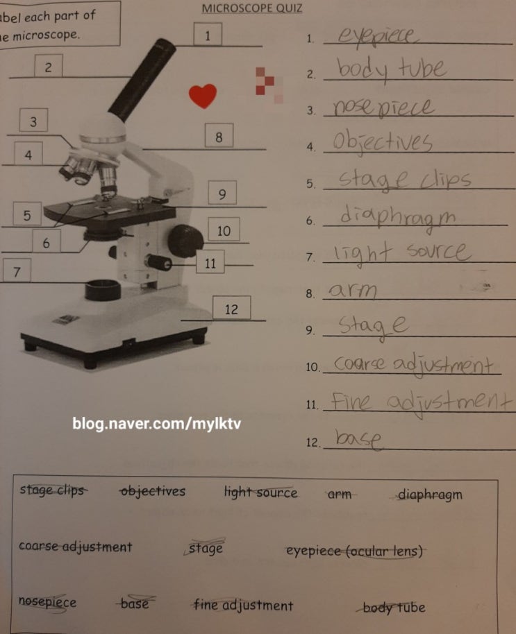 미국 초등학교 5학년 과학시험문제: 현미경 구조 영어로 배우기