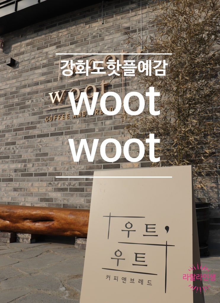  강화도 카페 우트우트 wootwoot / 루지와 옥토끼우주센터 근처 / 요즘 가장 핫한 곳 / 커피, 빵 맛집