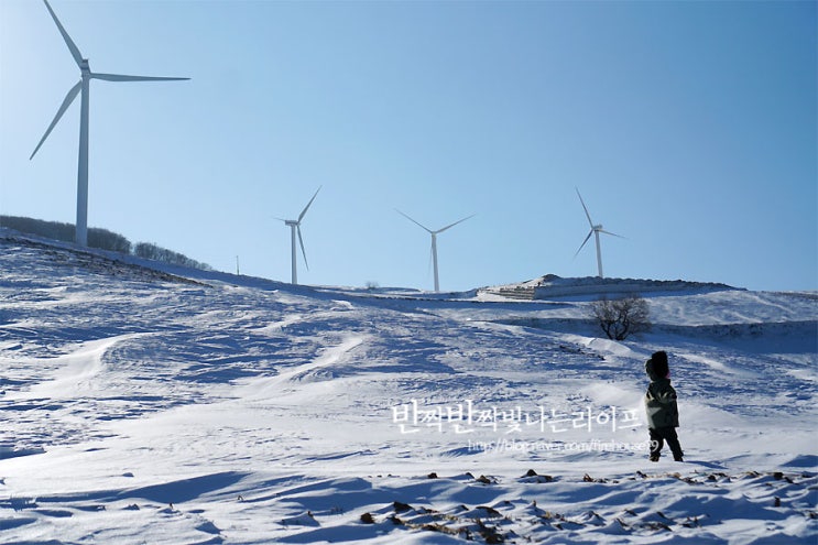 태백 매봉산 바람의언덕 강원도 겨울여행